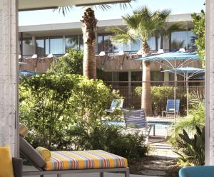 斯科茨浩谷酒店的一个带椅子和棕榈树的庭院和一座建筑