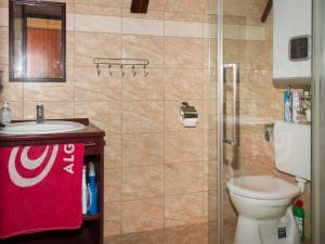 巴拉通马里亚弗都Chalet Kamilla by Interhome的浴室配有卫生间、盥洗盆和淋浴。