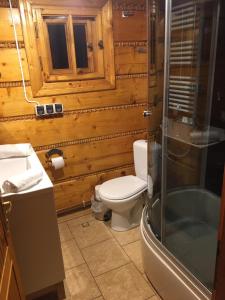 SkiBajkowa Chata的一间浴室