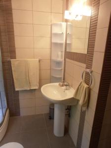 大洛希尼Apartments VESNA (63)的浴室配有盥洗盆、镜子和毛巾