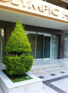 比雷埃夫斯奥林匹克酒店的建筑物前有标志的树
