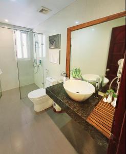 河内Hanoi Amorita Boutique Hotel & Travel的一间带水槽、淋浴和卫生间的浴室