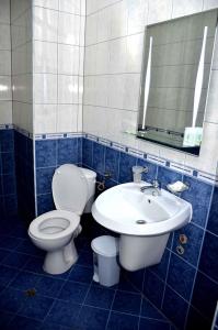 Borino黛西家庭酒店的蓝色瓷砖浴室设有卫生间和水槽