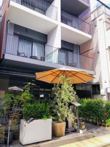 京都麦K之家酒店的植物建筑前的伞