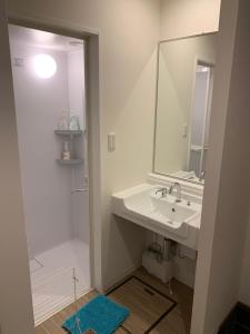 高野山Koyasan Guest House Tommy的浴室配有盥洗盆和带镜子的淋浴