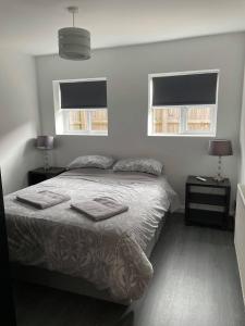 UpwellCosy Annexe With Peaceful Surroundings的一间卧室设有一张床和两个窗户。