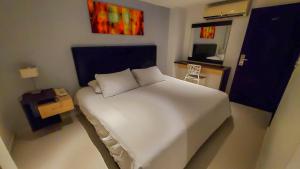 巴耶杜帕尔格兰德大道精品酒店的卧室配有白色的床和电视。