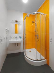 利沃夫Antresol的带淋浴和盥洗盆的浴室