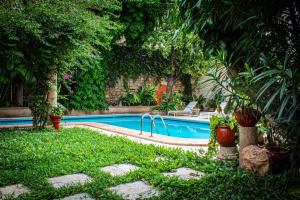 梅里达Casa del Balam Merida的庭院中间的游泳池