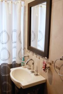 胡宁Dorrego l的浴室设有水槽、镜子和浴帘