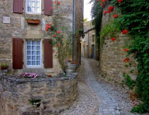贝纳克和卡泽纳克La Petite Maison的古石建筑中一条小巷,花红