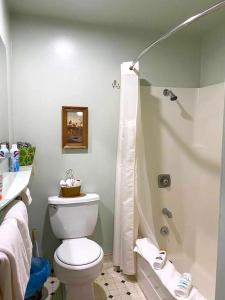 切马尔特Dawson House Lodge的一间带卫生间和淋浴的浴室