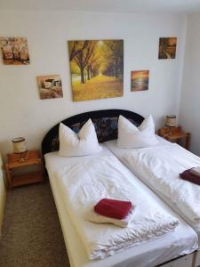 WartheApartment in Rankwitz OT Warthe 34765的一间卧室配有两张带白色床单和红色枕头的床