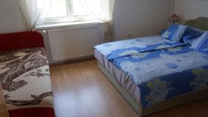 鲍洛通维拉戈什Apartments in Balatonvilagos/Balaton 26340的一间卧室配有一张带蓝色床单的床和一扇窗户。