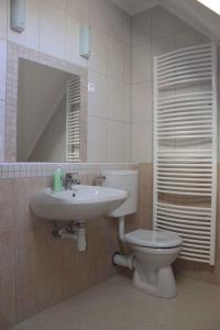 大瓦若尼Holiday home Nagyvazsony/Balaton 20231的一间带卫生间、水槽和镜子的浴室