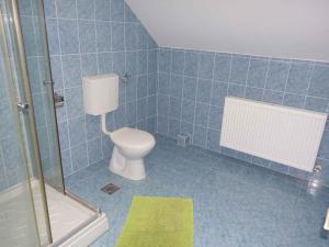 鲍洛通费尼韦什Apartment Balatonfenyves/Balaton 18408的蓝色瓷砖浴室设有卫生间和淋浴。