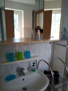 克劳斯多夫Apartment Klausdorf 2的一间带水槽和镜子的浴室