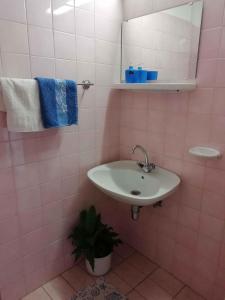 鲍洛通凯赖斯图尔Holiday home in Balatonmariafürdo 19327的粉红色的浴室设有水槽和镜子