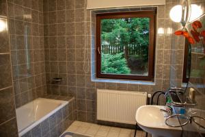哈拉霍夫Apartment Harrachov 3的一间带水槽和浴缸的浴室以及窗户。