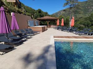 波尔图卡萨托伦特度假屋的游泳池旁的游泳池配有椅子和遮阳伞