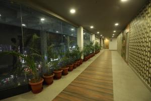西里古里VIPs Hotel Olive的走廊上有一排盆栽植物