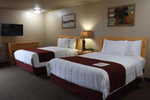 威斯康星戴尔Woodside Dells Hotel & Suites的一间酒店客房,设有两张床和电视