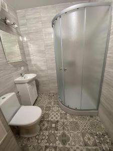 阿卢克斯内Apes ielas apartaments的带淋浴、卫生间和盥洗盆的浴室