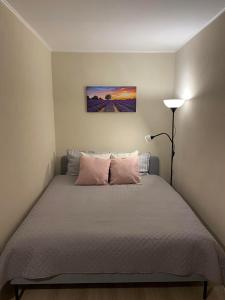 阿卢克斯内Apes ielas apartaments的一间卧室配有带粉红色枕头的床