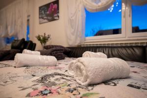 别洛瓦尔Apartman Vesna的一间窗户床上的带毛巾的房间