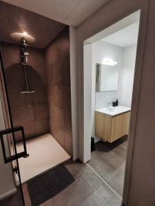 弗朗科尔尚La Librairie的一间带水槽和镜子的浴室