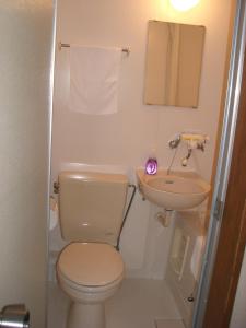 白马村和味亭日式旅馆的一间带卫生间和水槽的浴室