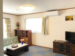 东伊豆町Izu Shirada Villa 伊豆白田家的带沙发和电视的客厅