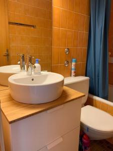 莱森Roc d'Orsay E48的一间带水槽和卫生间的浴室