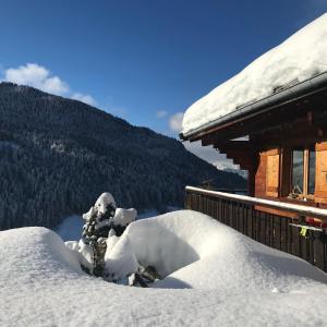 大博尔南La marmotte qui papote的小屋前的一堆积雪