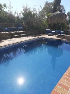 比纽埃拉Attico Los Montes with private pool的大型蓝色游泳池,配有两把蓝色椅子