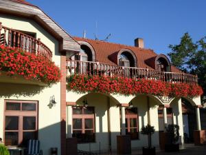 什图罗沃圣弗洛蓝什图罗沃酒店的阳台上的红色鲜花建筑