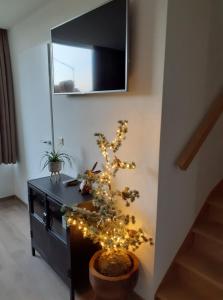 米德尔克尔克Huisje aan zee的一张桌子上灯的小圣诞树