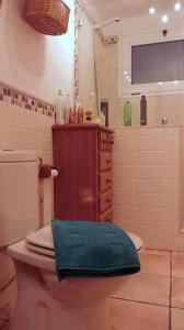 法马拉Famara Sweet Home的浴室设有卫生间,配有绿毛巾