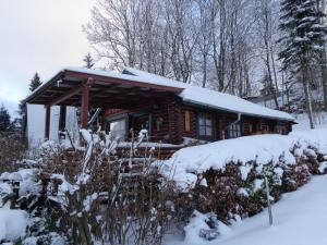 PockauFerienhaus Sachse的树林里的小木屋,上面有雪