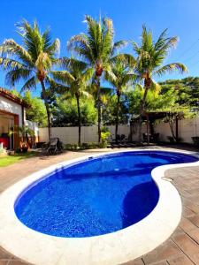 圣米格尔圣米格尔康福特茵酒店的庭院内棕榈树游泳池