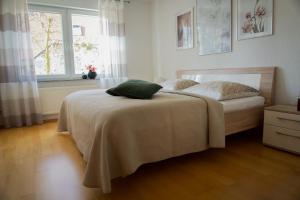 巴林根Ferienwohnung Donau的一间卧室配有一张带绿色枕头的床