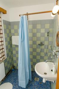 Olešnice v Orlických horáchHorská bouda Čihalka的浴室设有蓝色的浴帘和水槽