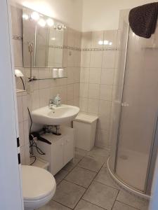 费马恩Appartement mit Balkon und Meerblick的一间带水槽、淋浴和卫生间的浴室