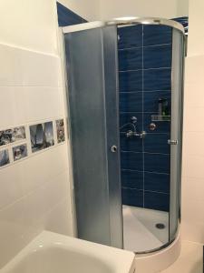 鲍洛通凯赖斯图尔Apartments in Balatonkeresztur 37924的浴室里设有玻璃门淋浴