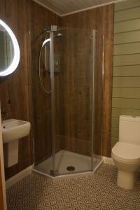基林Cosy Rowan woodland lodge no1的带淋浴、卫生间和盥洗盆的浴室