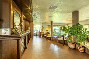 索非亚艾杜雷德精品酒店的一间设有桌子和一些植物的用餐室