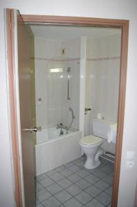 韦尼雪穆林温特酒店的带淋浴和卫生间的浴室