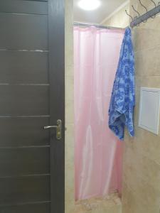 索罗卡Apartament in chirie Moldova or.Soroca的浴室内设有带粉红色淋浴帘的淋浴