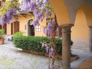 苏尔扎诺Albergo Ristorante Aquila的挂在建筑物上的紫色花环