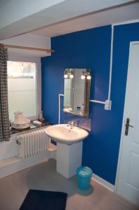 Gerpinnes拉奇瑞勒旅馆的蓝色的浴室设有水槽和镜子